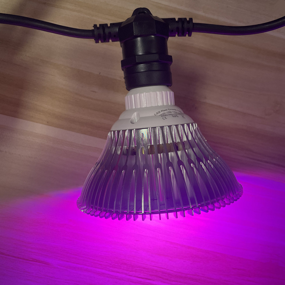 10M Cable LED String Commercia - Smart Garden Lamp 评论和价格