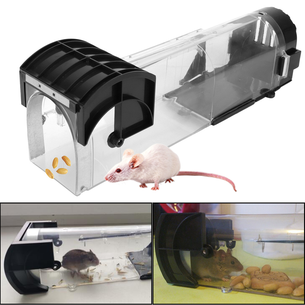 Safe Firm Smart Self-locking M - Smart Garden Products 评论和价格