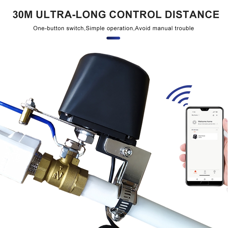 Tuya Smart Gas Valve WIFI Gard - Smart Garden Water Timer 评论和价格