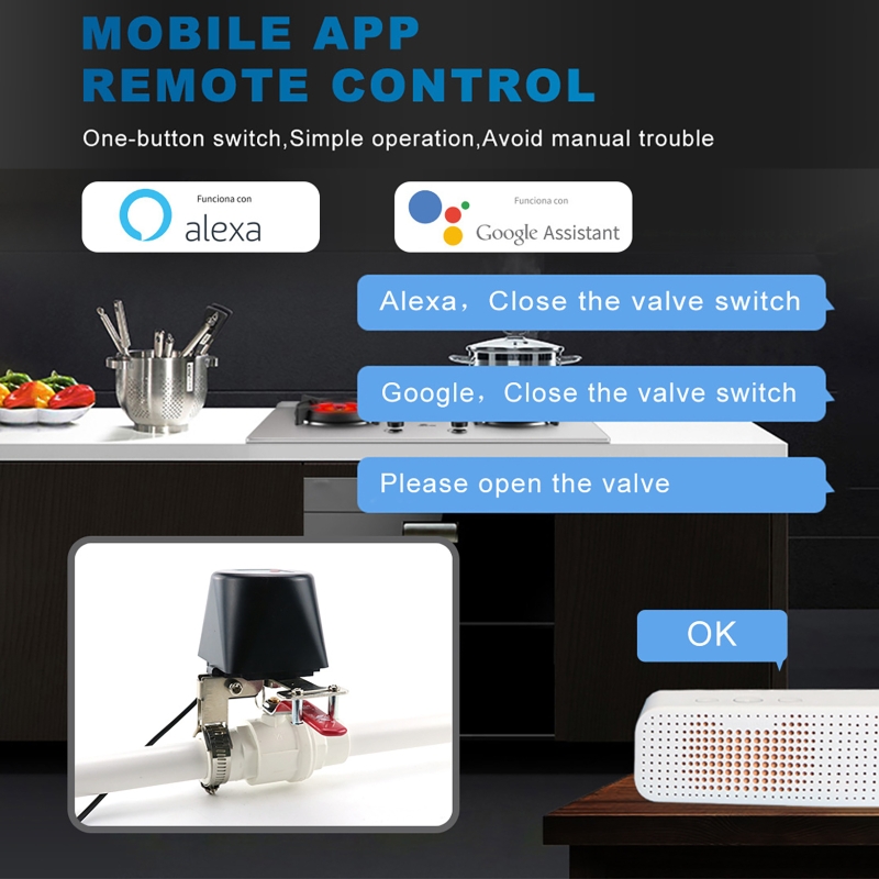 Tuya Smart Gas Valve WIFI Gard - Smart Garden Water Timer 评论和价格